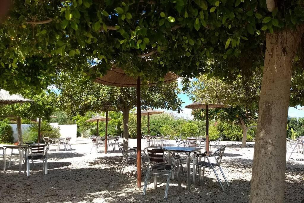 Ferienwohnung Beachfront Apt! Ac - Pool - Parking Altea Exterior foto